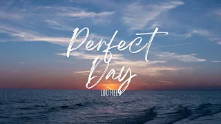 Lou Reed - Perfect Day (cover)