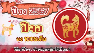 ปีชง2567 ปีจอ ชง100%เต็ม และวิธีแก้ปีชงช่วยผ่อนหนักให้เป็นเบา