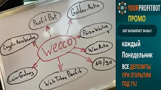 WECCO проект Profitbot презентация Профитбот