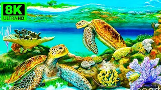 4K (ULTRA) HD Turtle Paradise - Undersea Nature Relaxation Film And Piano Music With Stress Music.
