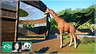 Mixed Giraffe, Zebra & Ostrich Habitat in Planet Zoo | Meilin Zoo | Ep. 24 |