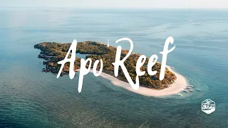 Apo Reef Natural Park "The Largest Reef in the Philippines"