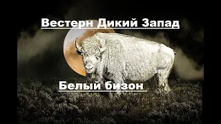 Белый бизон Вестерн Дикий Запад