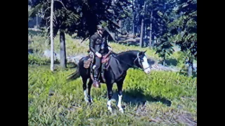 Red Dead Redemption 2 The Trophy Buck Outfit Hunting The Legendary Fox And Buck With Baylock