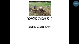 ל"ט אבות מלאכה-נתנאל בורוכוב