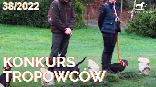 SUDECKA OSTOJA 38/2022 PZŁ. Konkurs Tropowców Polowanie na dziki wild boar hunting Wildschweinjagd.