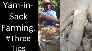How to farm Yam in sack