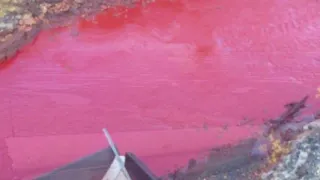 Apocalypse Arctic river turns RED