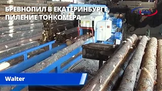 Как работает Бревнопильный станок Walter TD-350 KBA. Пиление тонкомера в Екатеринбурге Вальтер