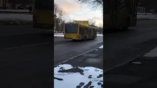Автобус МАЗ 203 маршрут 32К