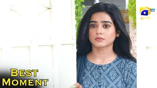 Farq Episode 50 | 𝐁𝐞𝐬𝐭 𝗠𝗼𝗺𝗲𝗻𝘁 𝟬𝟲 | Sehar Khan | Faysal Quraishi | Adeel Chaudhry | HAR PAL GEO