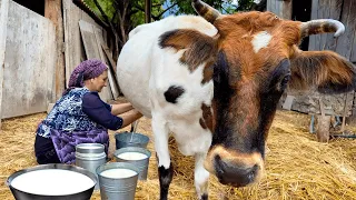 Rustic Recipes using Local Products! Life in the Village