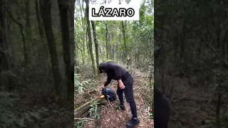 lazaro fugindo da policia agora ( comedia ) #memes #lazaro ultimas informações #lazaro preso