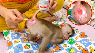 Monkey Puka has pooped, he looks for Mom to change his diaper