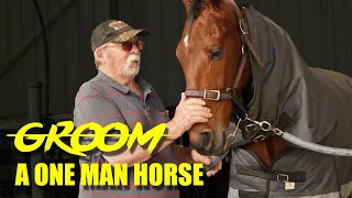 Groom - A One Man Horse