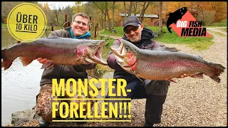 Die Monster im Forellensee - Wir fangen Forellen über 10 Kilo!