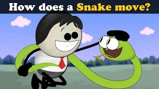 How do Snakes Move? + more videos | #aumsum #kids #science #education #children