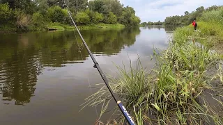 Ловля Щуки у Вересні. Виловив Ляща в Десні. Конкурс для Підписників