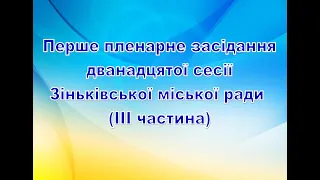 Перше пленарне засідання дванадцятої сесії Зіньківської міської ради (ІІІ частина)