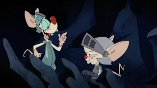 Pinky and the Brain Meets Benedict