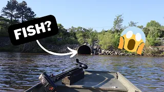 Are there any fish in this Drain Pipe!?!?! | Jordan Lake Fishing