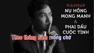 Nụ Hồng Mong Manh - Phai Dấu Cuộc Tình (Karaoke Tone Nam) | Thái Thanh Nhàn