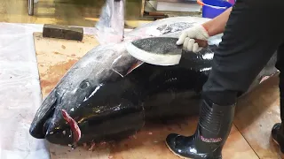 Giant Bluefin Tuna Cutting Skills / 巨大黑鮪魚切割技能 - Bluefin Tuna Cutting Show in Taiwan