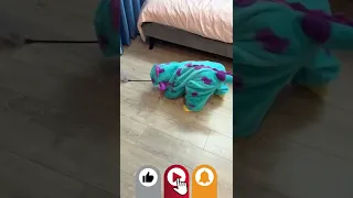 Baby vs Cat or friends ? : Try Not To Laugh ! | #3 | funny baby and cat videos