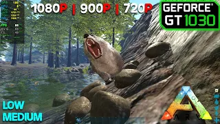 GT 1030 | ARK Survival Evolved - 1080p, 900p, 720p - Low & Medium