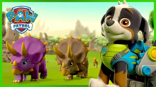 Dino Rescue PAW Patrol saves dinosaurs and more! | PAW Patrol | Cartoons for Kids Compilation