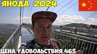 Китай Хайнань Джунгли Янода. Это стоит посетить. Пиво поменял на чай 2024