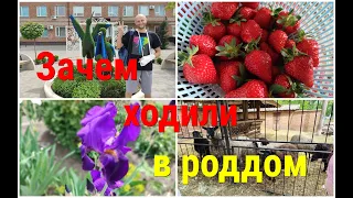 Ейск/Зачем мы ходили в РОДДОМ/Стоимость КЛУБНИКИ на юге/Кто стучит у моря?)