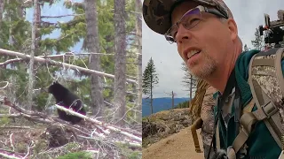 2022 British Columbia Black Bear Hunting #2