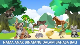 Nama Anak Binatang Dalam Bahasa Bali   belajar bahasa bali