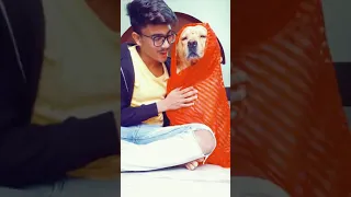 best funny video with dog😂🐕 | tiktok | comedy | #shorts | anant rastogi