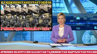 ТОЛЬКО ЧТО! В Таджикистане стартовали учения ОДКБ "Кобальт-2021"