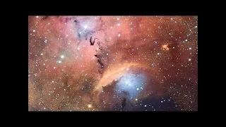 ESOcast 142 Light - Stellar Nursery Blooms into View - HD