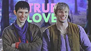 merlin & arthur | you're an asshole but i love you