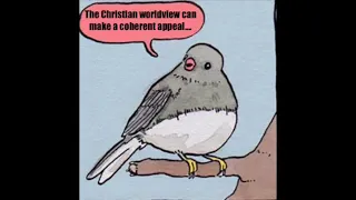 Christian vs Atheist Birb (annoyed bird meme)