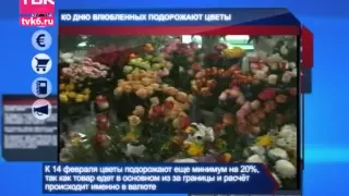 Новости ТВК 6 февраля 2015 года.