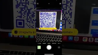 Платежная ссылка многоразовая QR.Pay от E-COM kassa