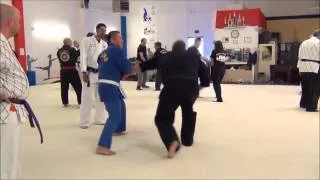 Hapkido wrist lock and armbar