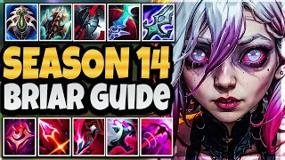 SEASON 14 ULTIMATE BRIAR GUIDE (Tips & Tricks) Rank 1 Briar