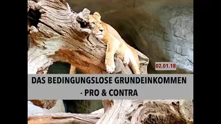 Bedingungsloses Grundeinkommen: Pro &  Contra