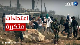 حسن خريشة: هدفان وراء اعتداءات المستوطنين الإسرائيليين على البلدات الفلسطينية