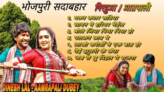 #video | Dinesh Lal Yadav & Amrapali Dubey Song 2024 | #dineshlalyadav #amrapalidubey #bhojpurisong