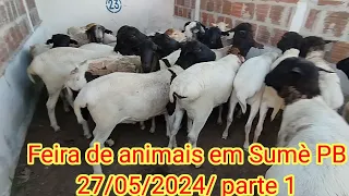 Feira de caprinos é o vinos em Sumè PB27/05/2024/ parte 1