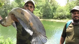 Unleashing the Secrets of Snakehead Fishing || kaal fisher