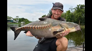 PALM TREE LAGOON August 2021 day 1 part 2. Ripsaw catfish, Siamese carp, Mekong, Alligator gar, etc!