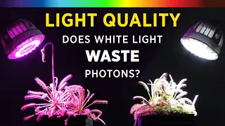 Grow Lights 101: Best Plant Growth Spectrum Color? White vs Red/Blue LED + What is PAR & ePAR Light?